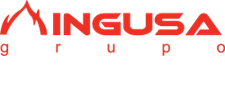 INGUSA