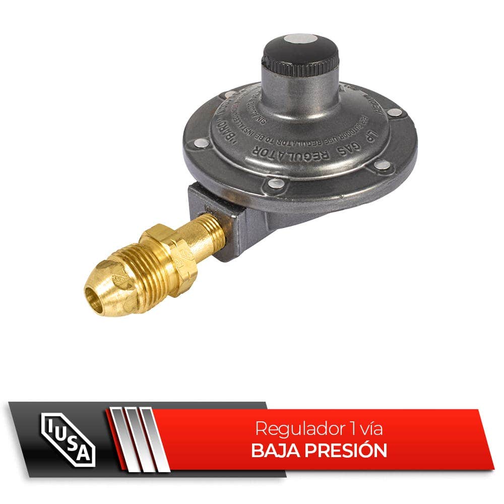 Regulador IUSA 267369 - Vista 2