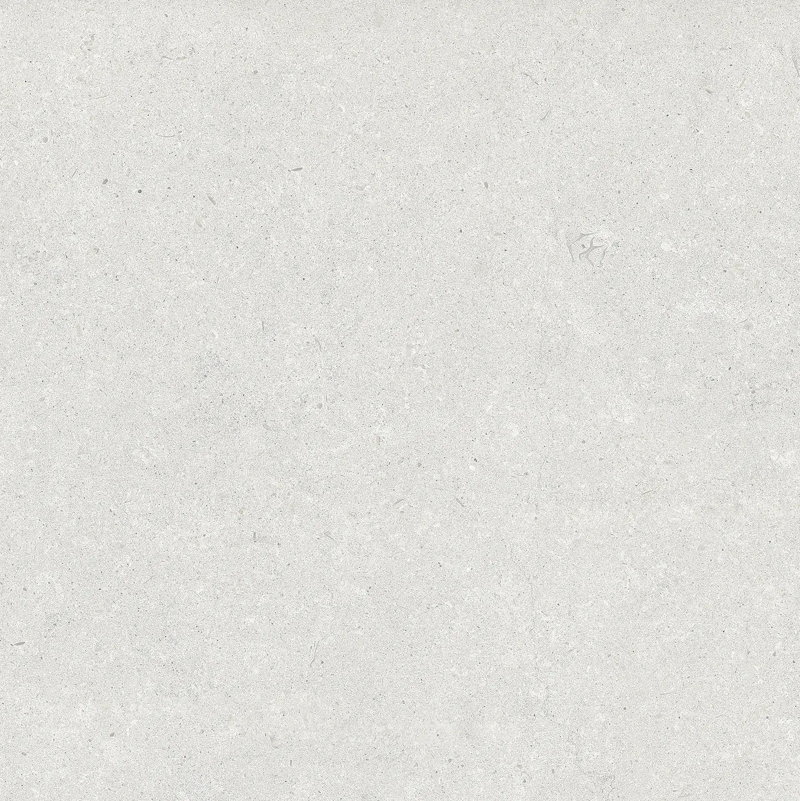 Cemento Everest Gris 59.3×59.3 cm — cara oficial