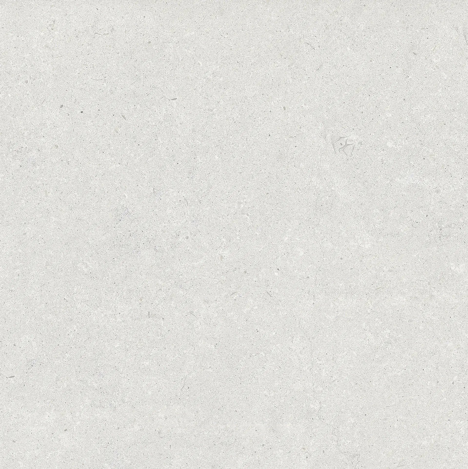 Cemento Everest Gris 59.3×59.3 cm — cara oficial