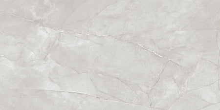 Denver Gris 60x120 cm - C01