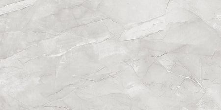 Denver Gris 60x120 cm - C05