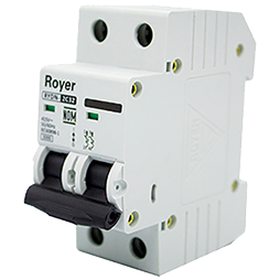 Interruptor Riel Din 2P 25A 6/10Ka (Rydn6-2C25)