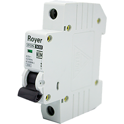 Interruptor Riel Din 1P 20A 6/10Ka (Rydn6-1C20)