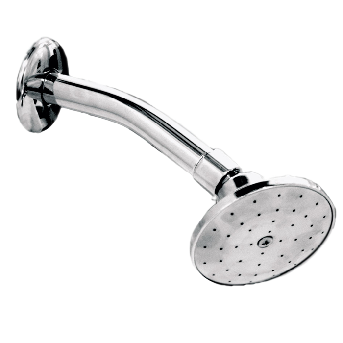 Regadera Dica Con Brazo Pv2052