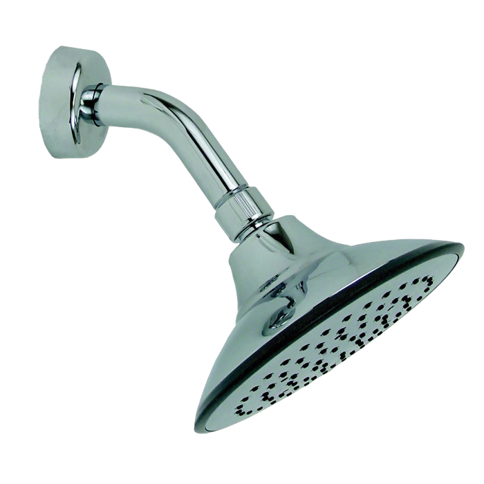 Regadera Florida Brazo Y Chapa Pv2781