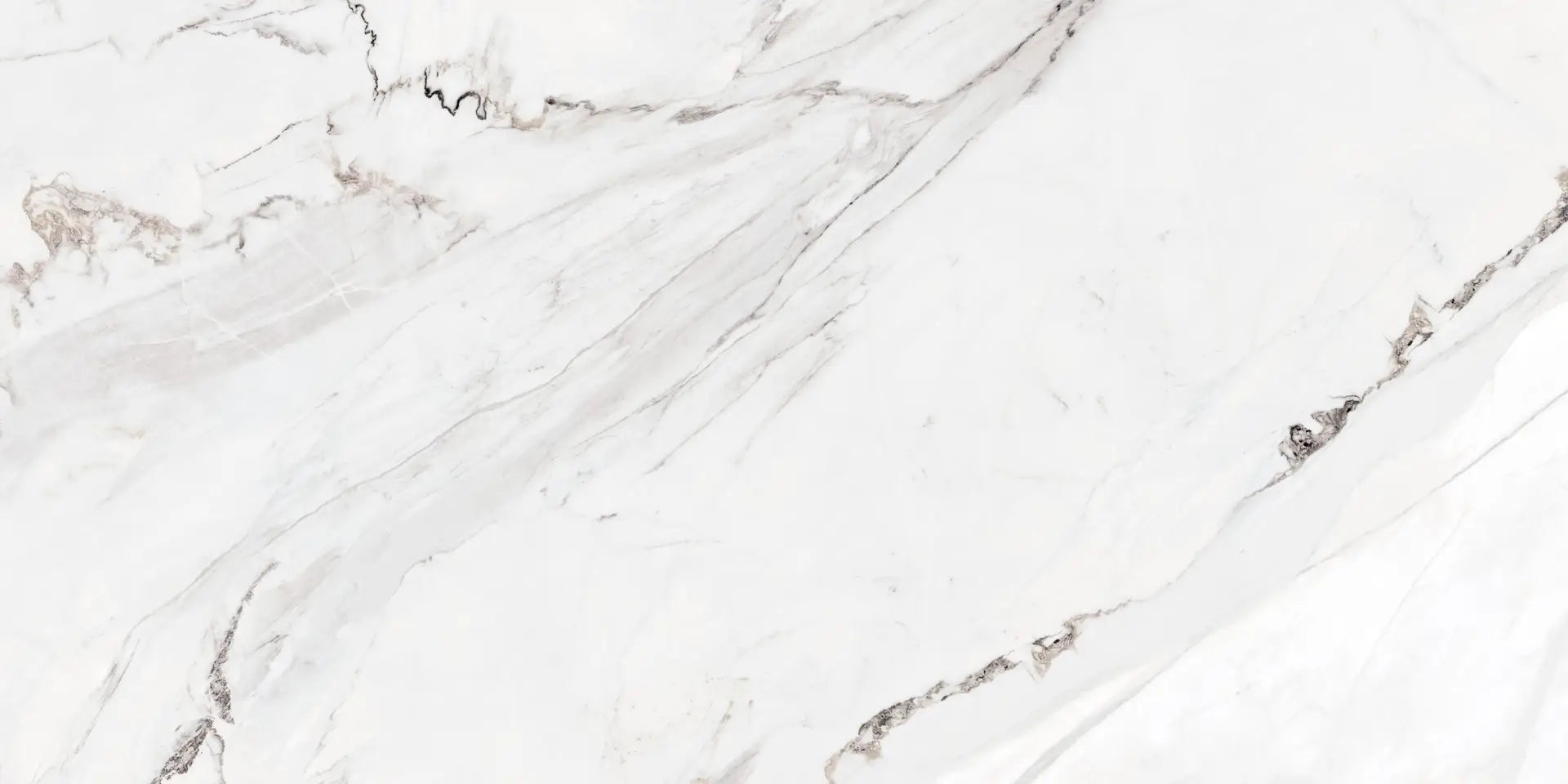 Rossian White 59.3×119 cm Rectificado — LAMOSA