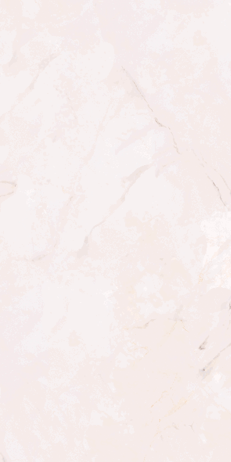 CARRARA MT BIANCO 50X100 - Producto Vitromex