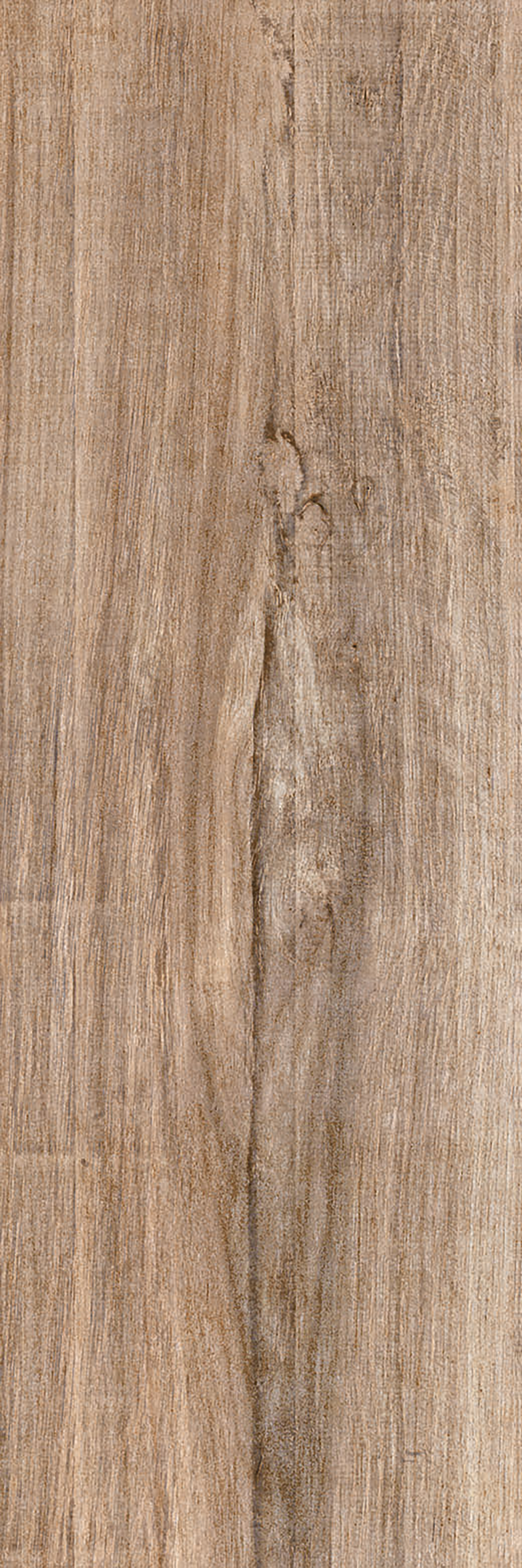 CHAPALA ABEDUL 18X60 - Producto Vitromex