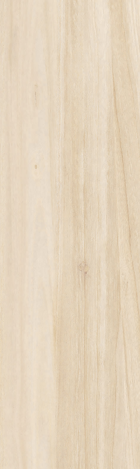 CHAPALA MIEL 18X60 - Producto Vitromex