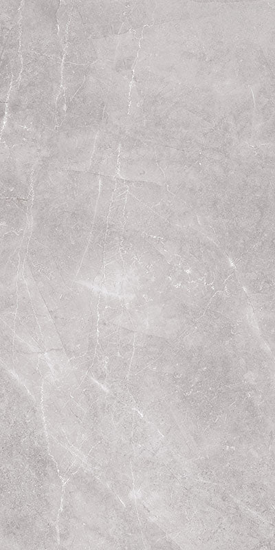 LIVING GRIS 50X100 - Producto Vitromex