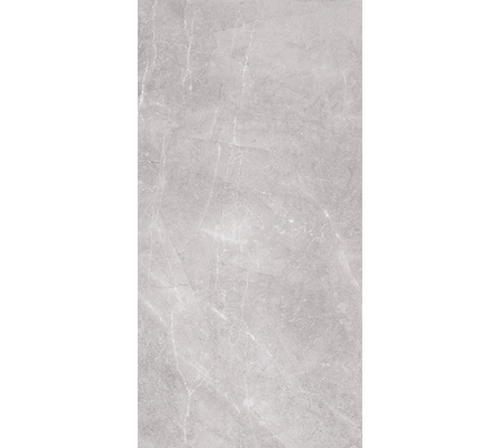 LIVING GRIS 50X100 - Ambiente Vitromex