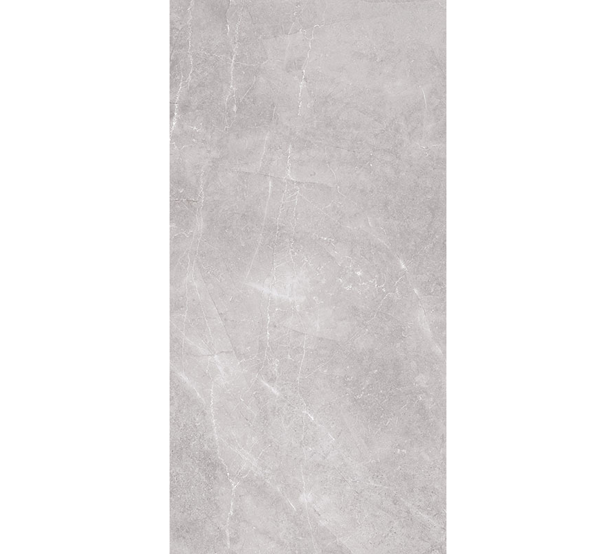 LIVING GRIS 50X100 - Ambiente Vitromex