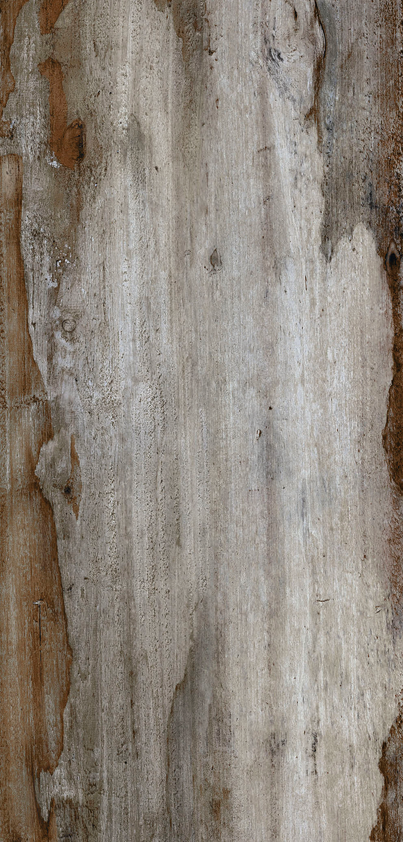 QUEBEC SILVER 18X60 - Producto Vitromex