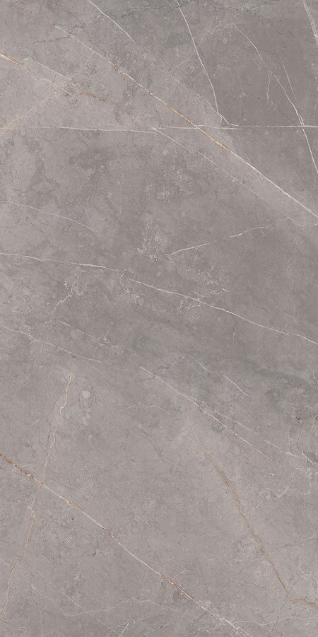 SAN GABRIEL MT ANTRACITA 50X100 - Producto Vitromex