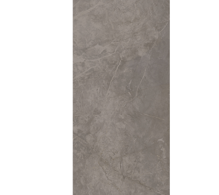 RAFAELLO PL GRIS 50X100 - Producto Vitromex