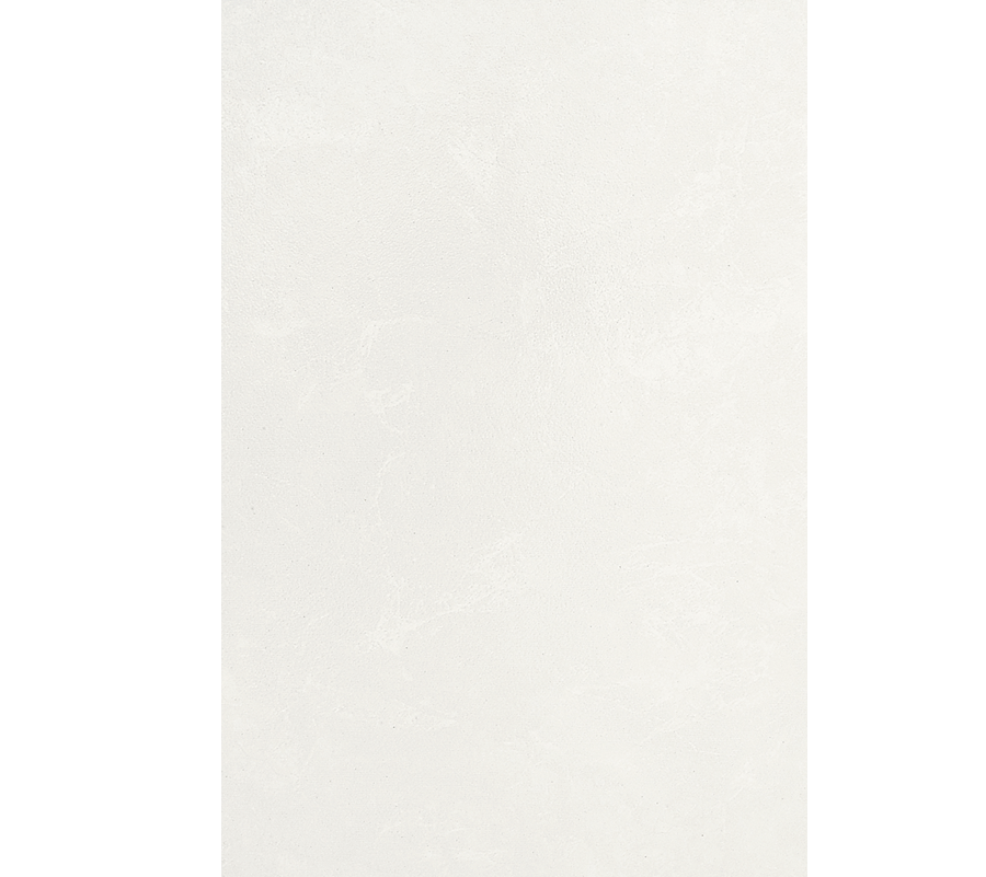 ASPEN BLANCO 20X30 (Muro) - Ambiente Vitromex