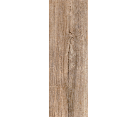CHAPALA ABEDUL 18X60 - Ambiente Vitromex