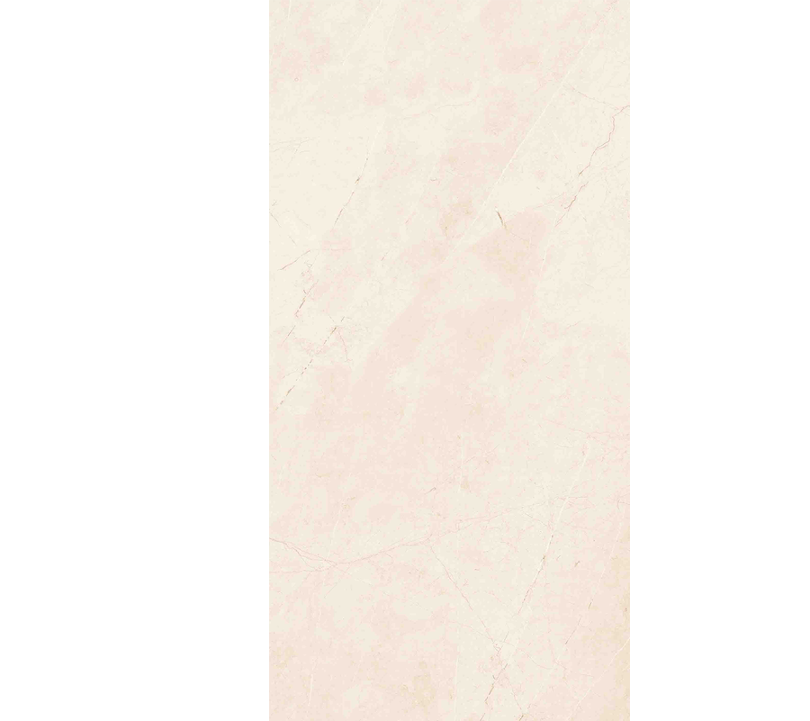 SAN GABRIEL MT BEIGE 50X100 - Ambiente Vitromex