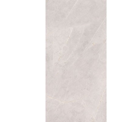 SAN GABRIEL MT GRAY 50X100 - Ambiente Vitromex