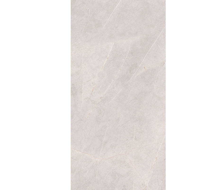 SAN GABRIEL MT GRAY 50X100 - Ambiente Vitromex
